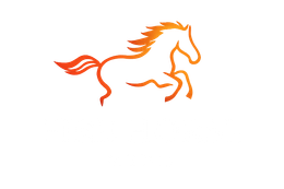 Orange stylized flame logo with &ldquo;MEDIA&rdquo; text on a white background