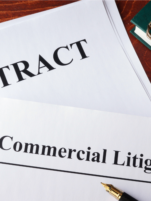Commercial Litigation Attorneys Merrillville