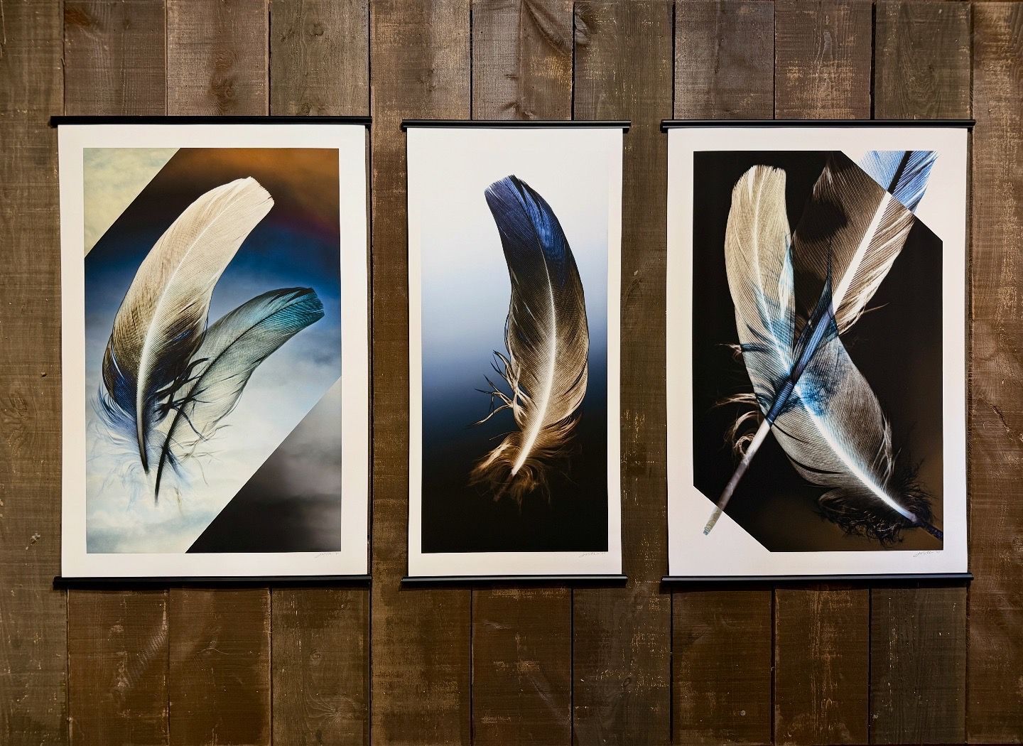 Three framed feather artworks on a wooden wall, in tan, blue, and black tones.
