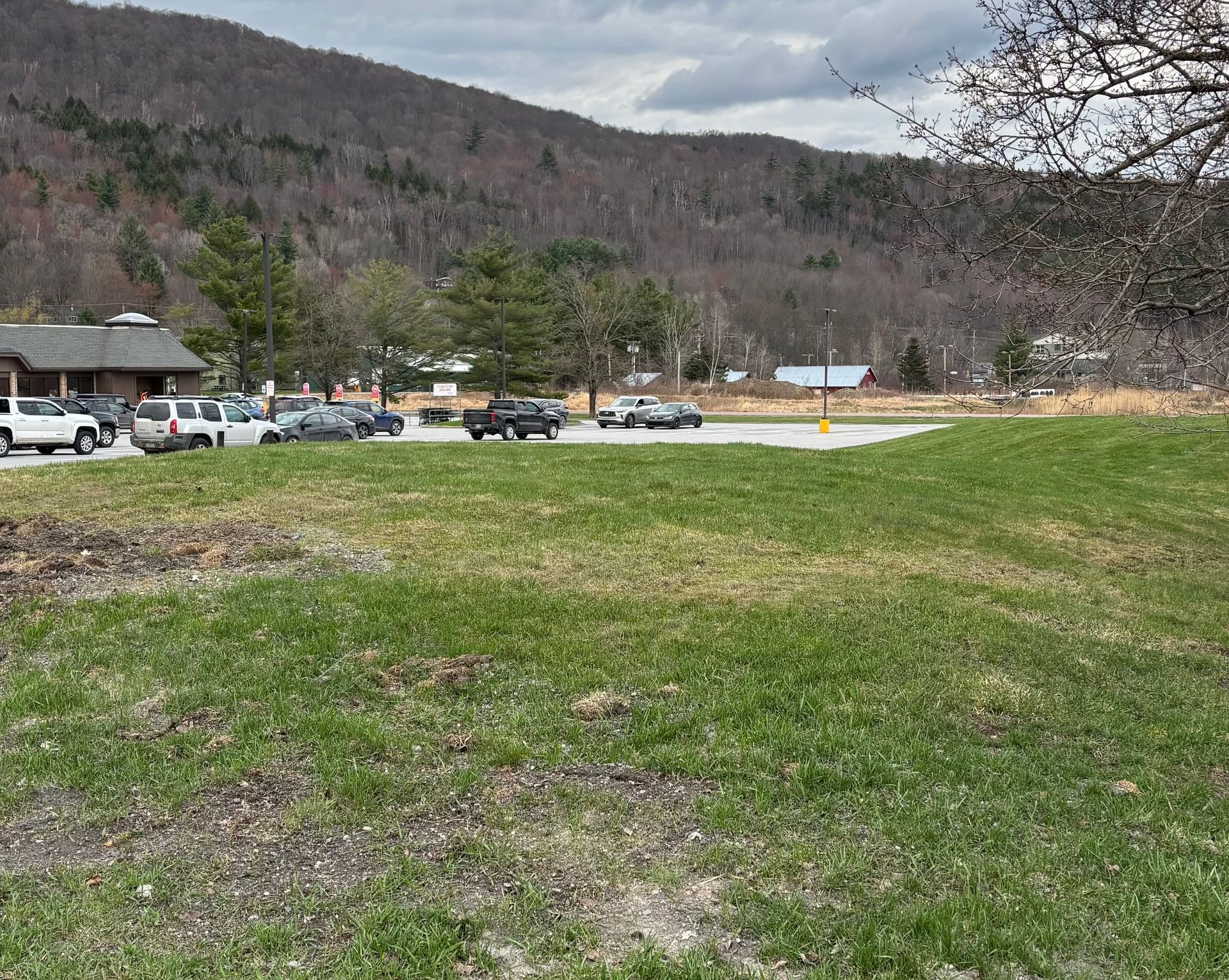 Grassy field with parked cars and buildings at the base of a wooded mountain under cloudy skies