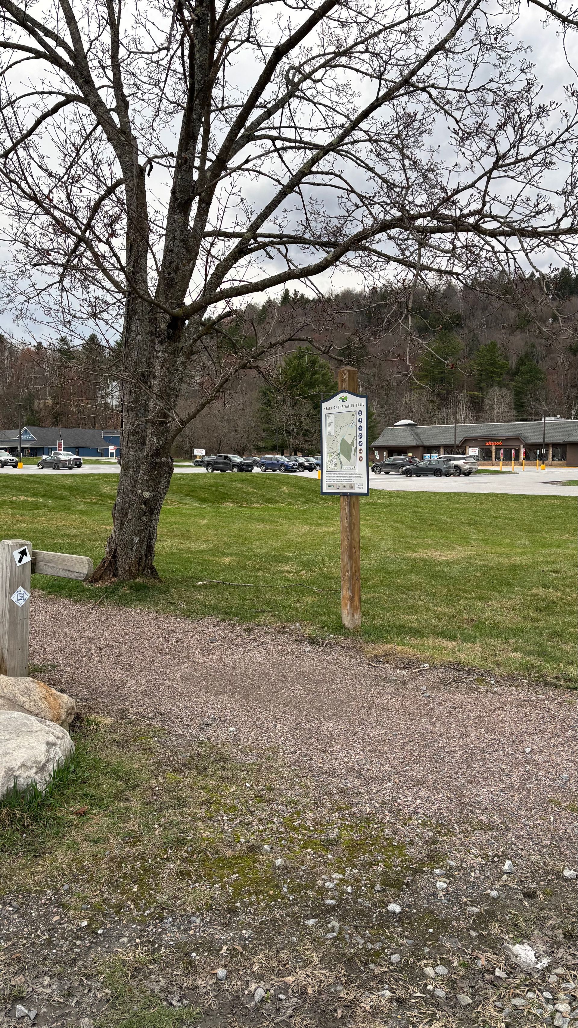 Leafless tree beside a gravel path and grassy field, with a signpost and parking area in the background
