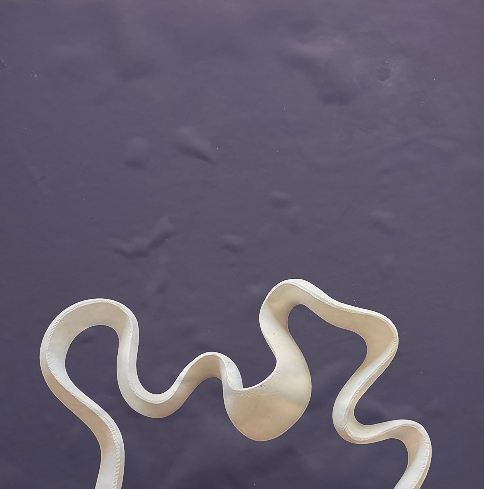 Abstract white squiggle on a dark purple background