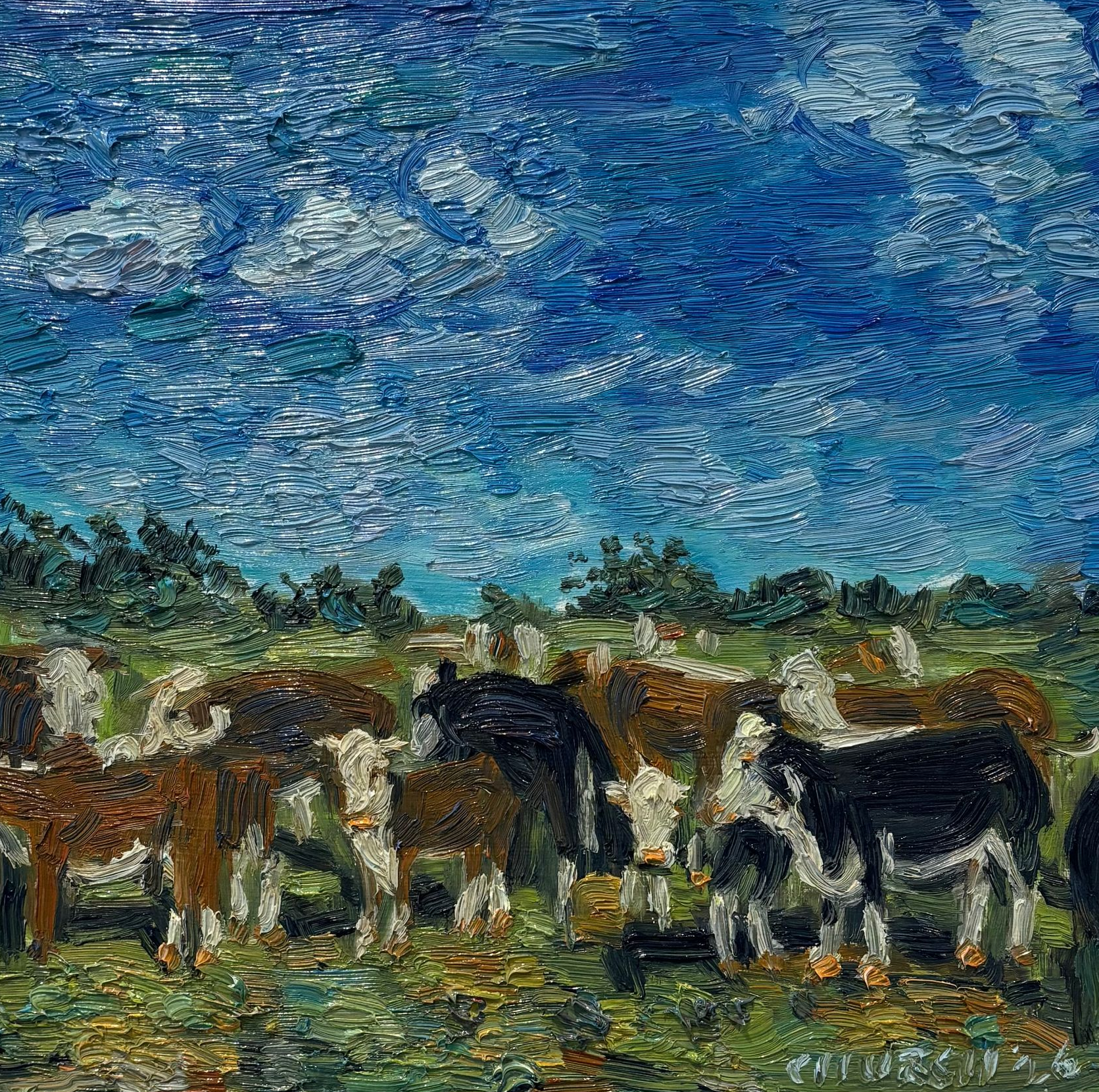 Cows grazing in a green field under a bright blue, cloud-streaked sky