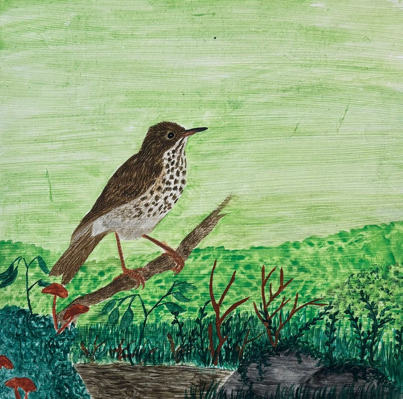 Brown speckled bird perched on a branch above green foliage with a pale green background