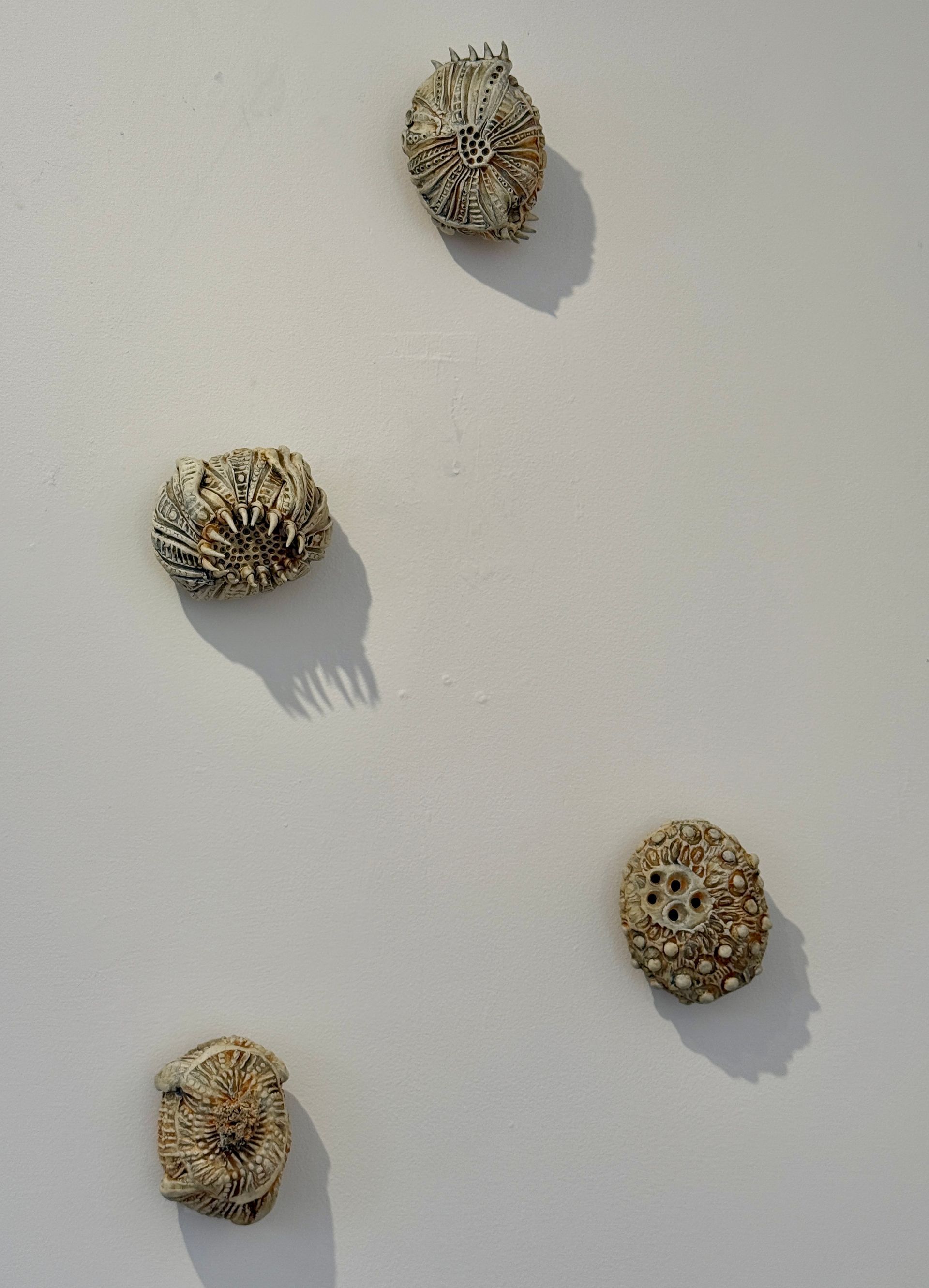 Four small shell-like objects arranged on a plain light wall, casting soft shadows.