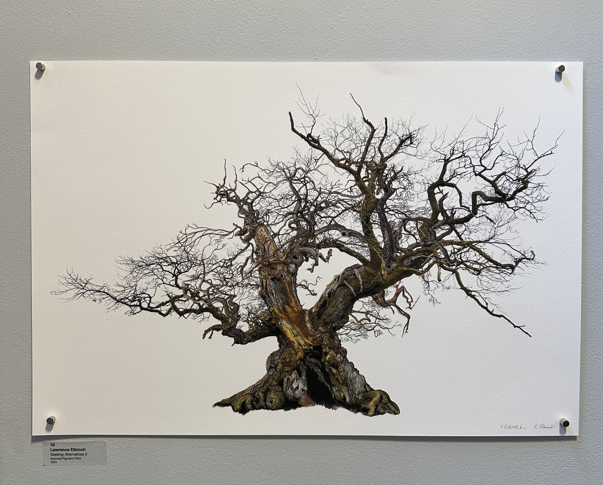 Trees