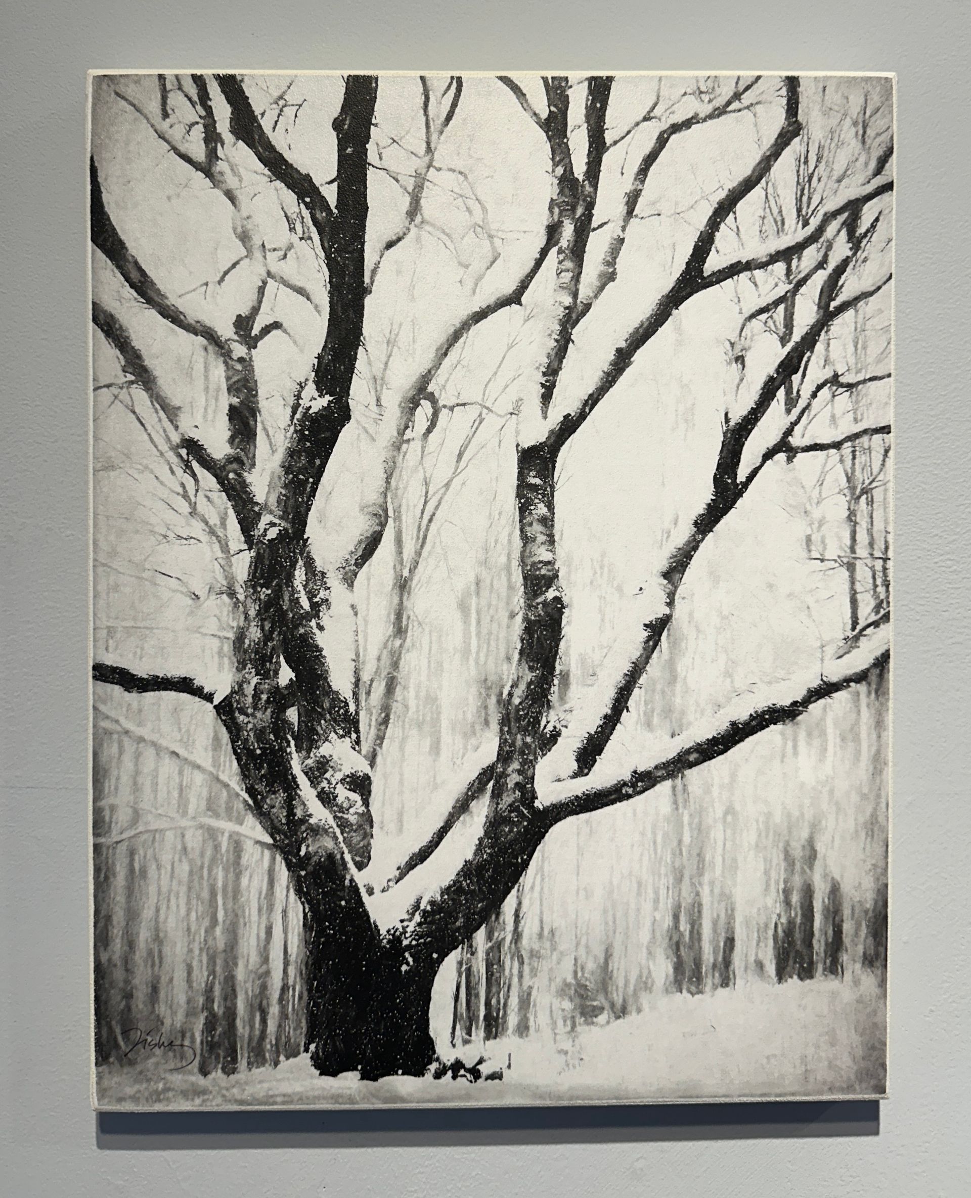 Trees