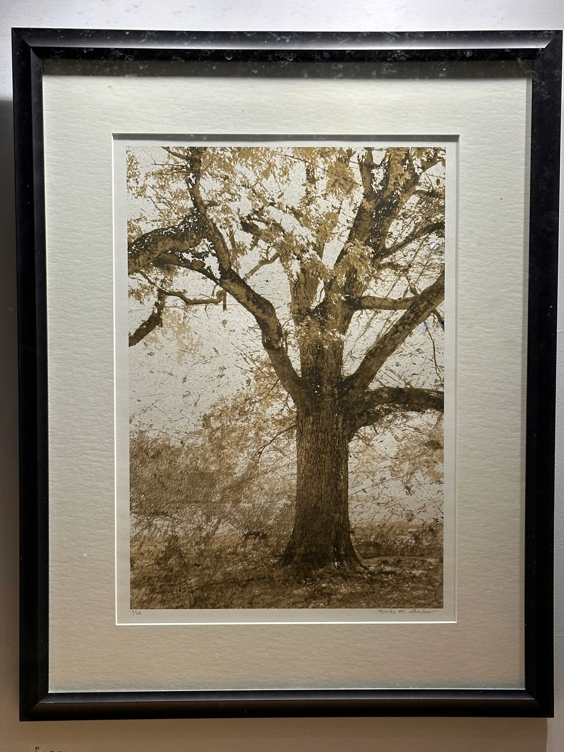 Trees