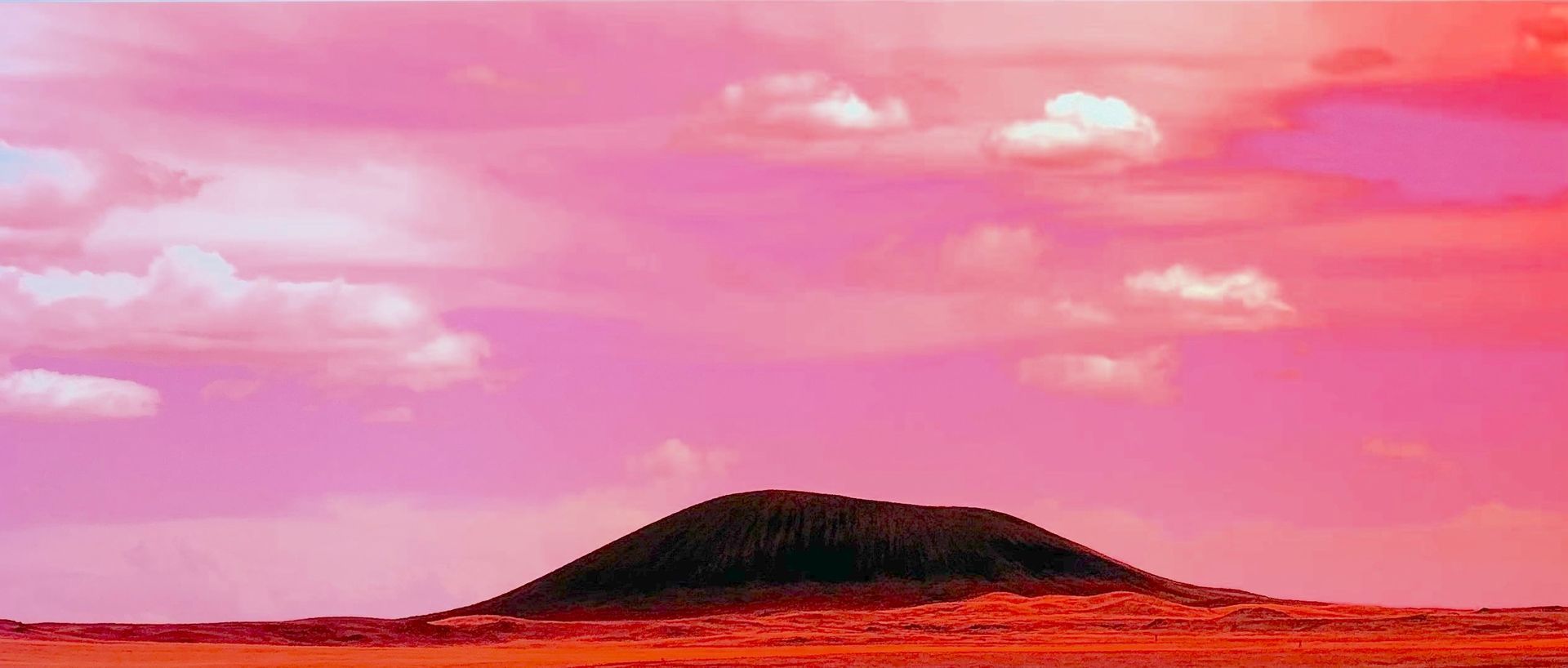 Wild Pink Exhibition