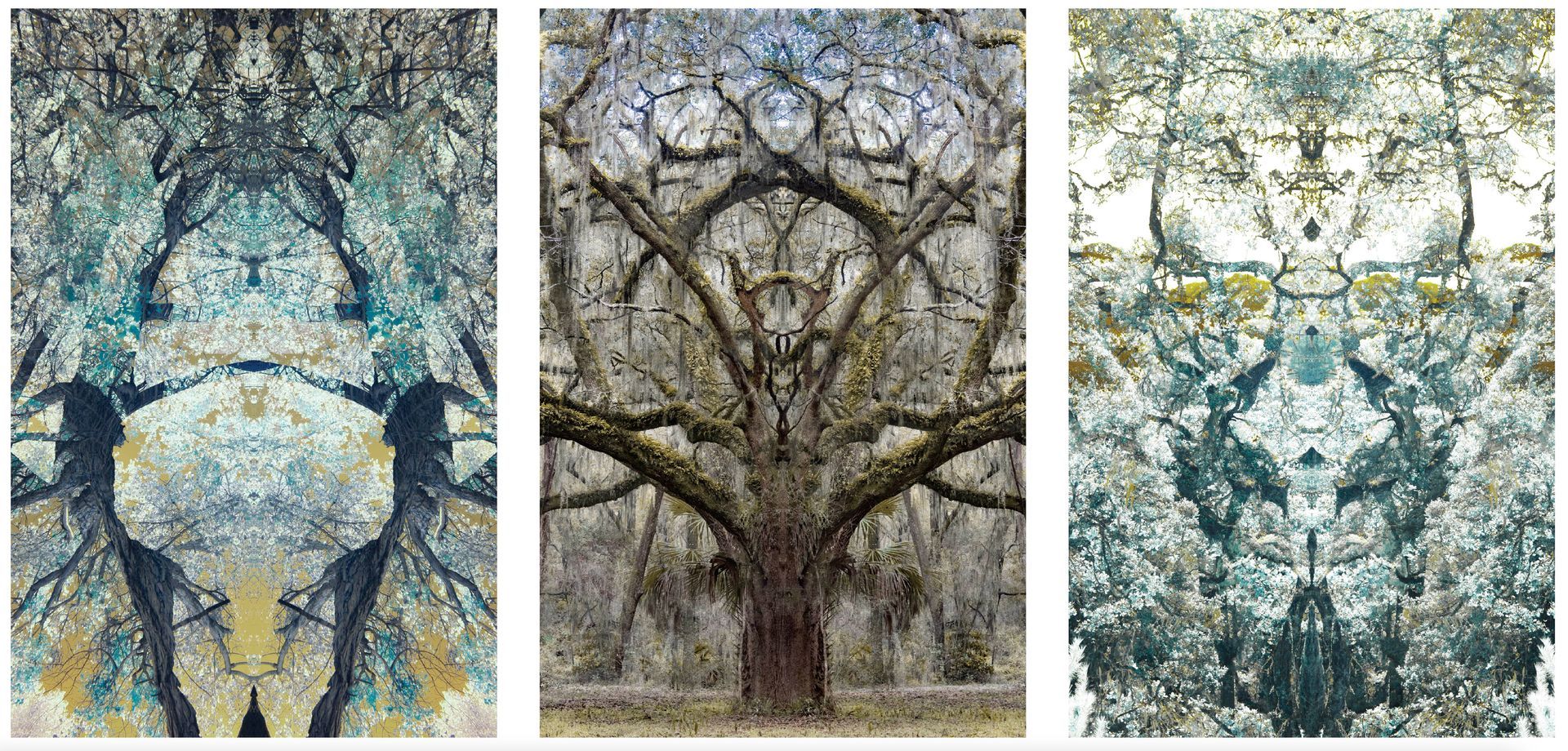 Trees