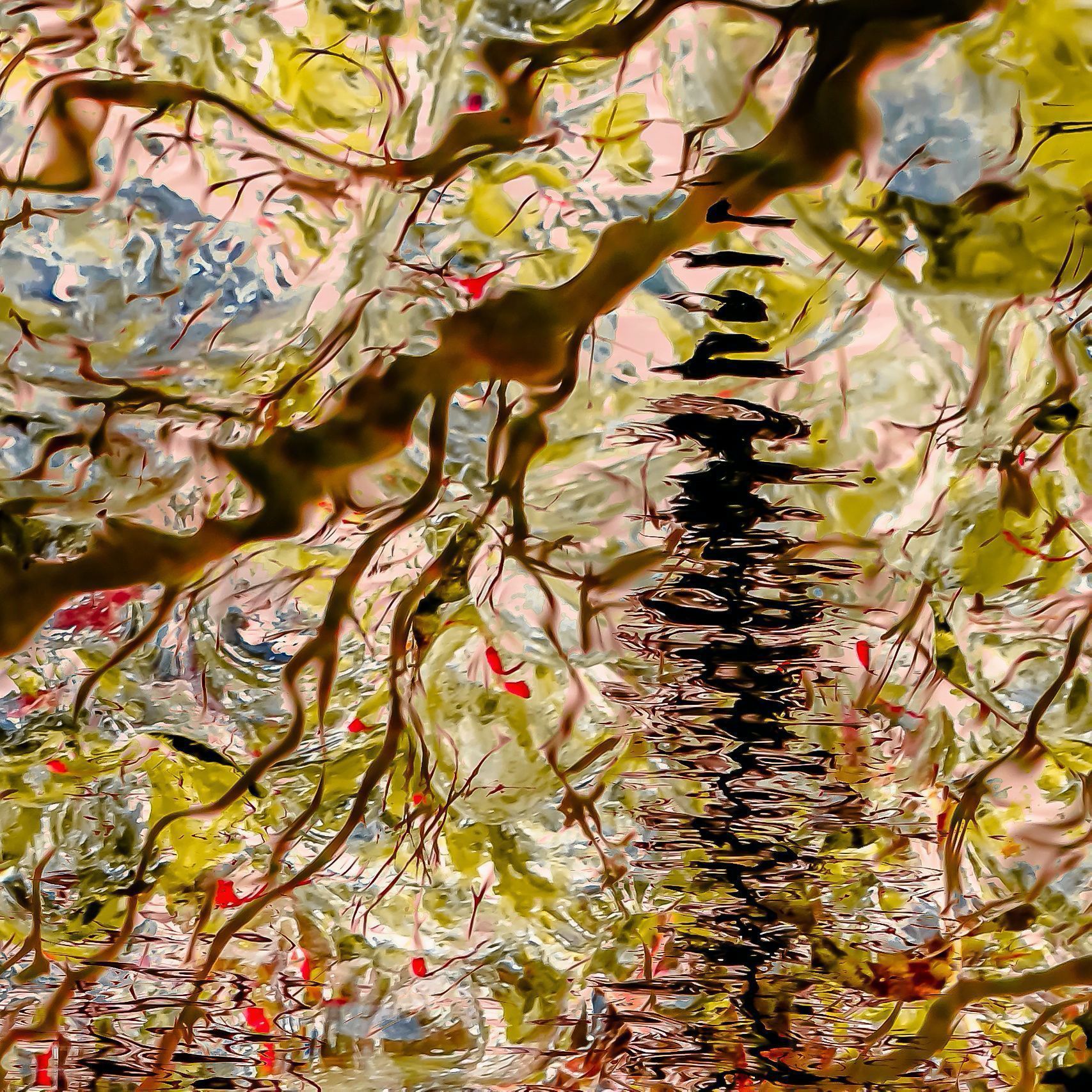 Digital Photography