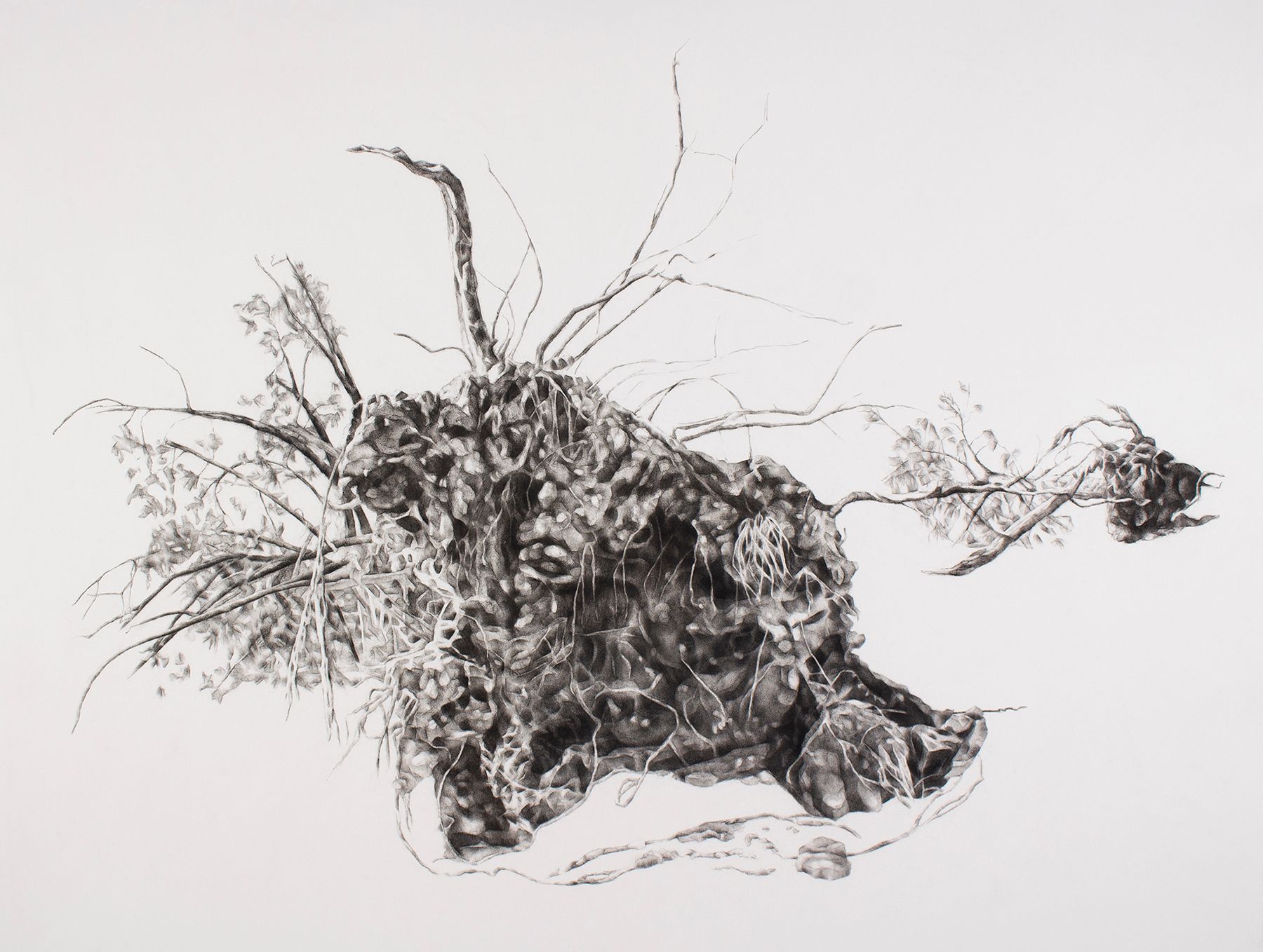 Trees