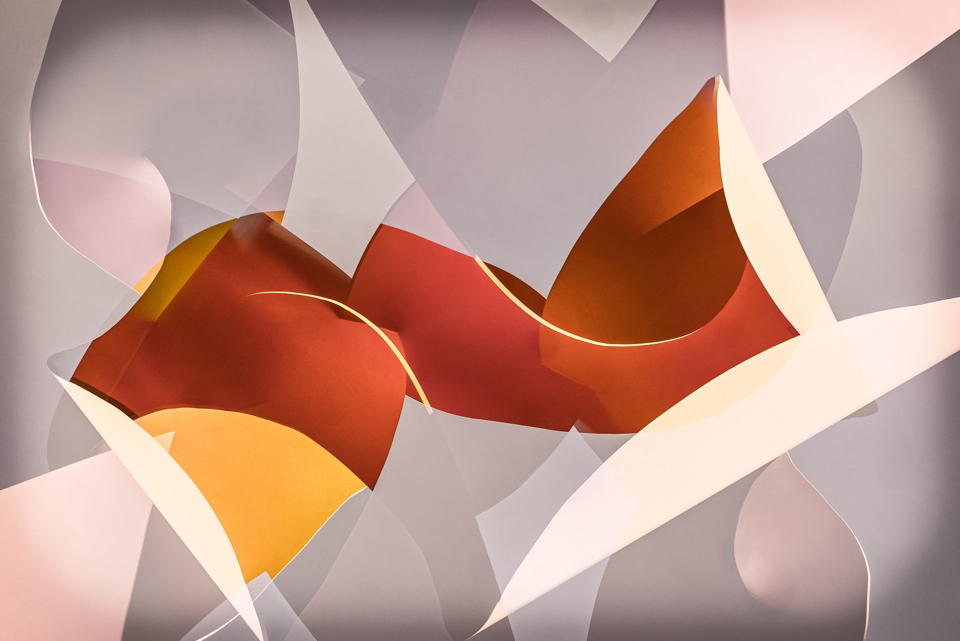 Digital Photography- Abstract^2