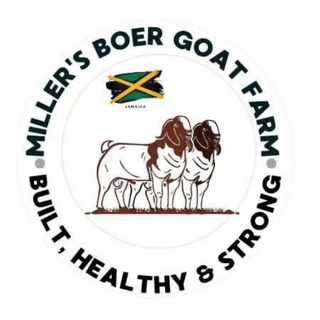 Miller's Boer Goat Farm Logo 