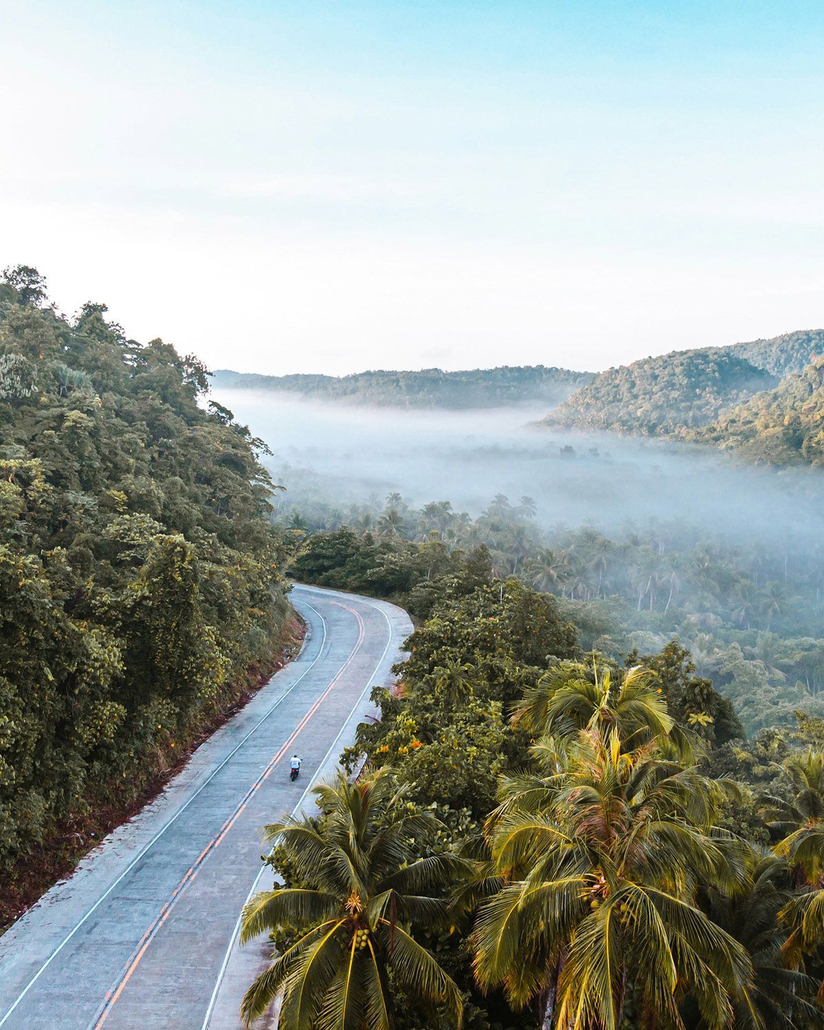 Winding jungle road through misty tropical forest in Siargao Philippines