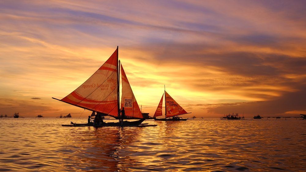 A sailboat with the number 41 on the sail