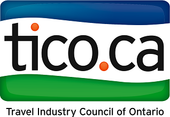Logo of TICO, with blue and green curved bars behind the text 