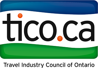 Logo of TICO, with blue and green curved bars behind the text 