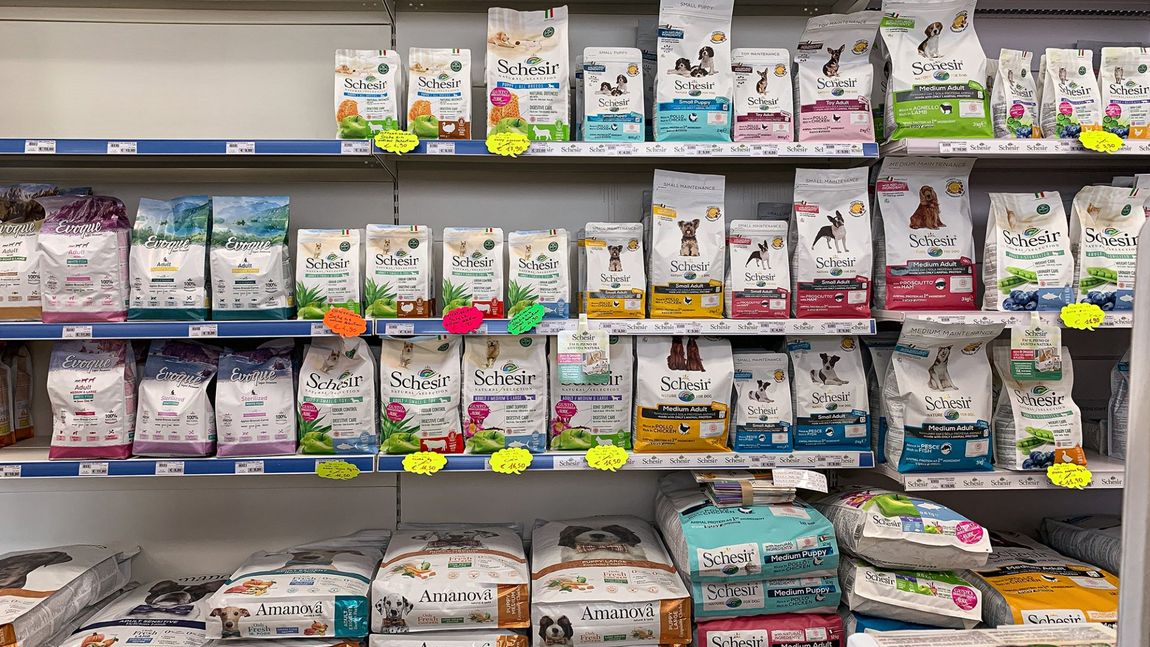 reparto di cibo per cani