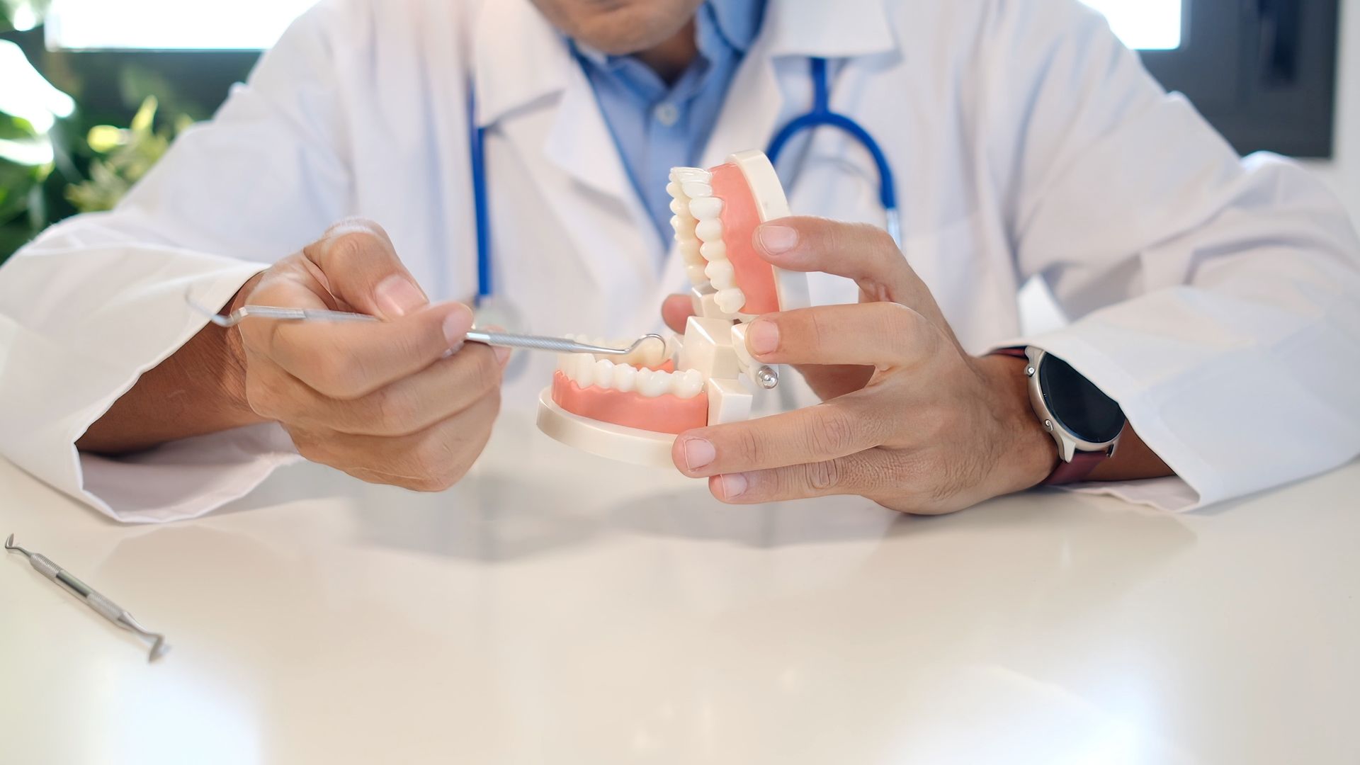 Dentist holding a tooth model and pointing with a dental tool in a bright clinic