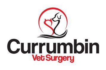 Currumbin Vet Surgery