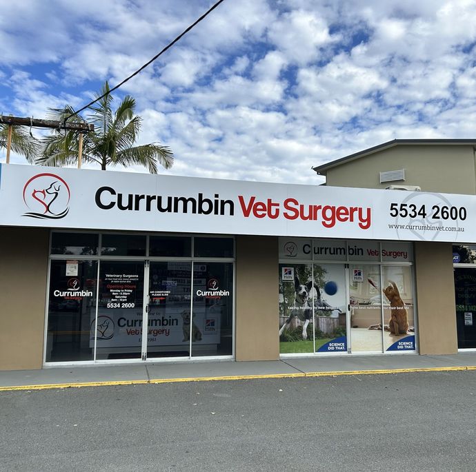 Currumbin Vet Surgery Store Front — Currumbin, QLD — Currumbin Vet Surgery