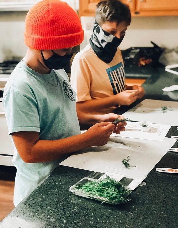 Two young boys wearing face masks are sitting at a kitchen counter.