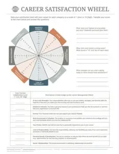 Career Satisfaction Wheel worksheet with colored segments and reflection prompts for career planning