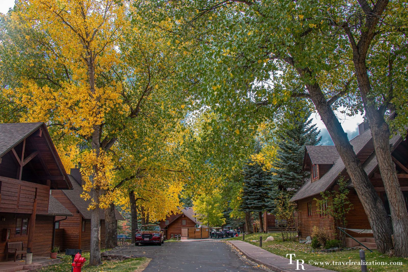 Tree-lined village street with autumn foliage and rustic wooden cabins on both sides
