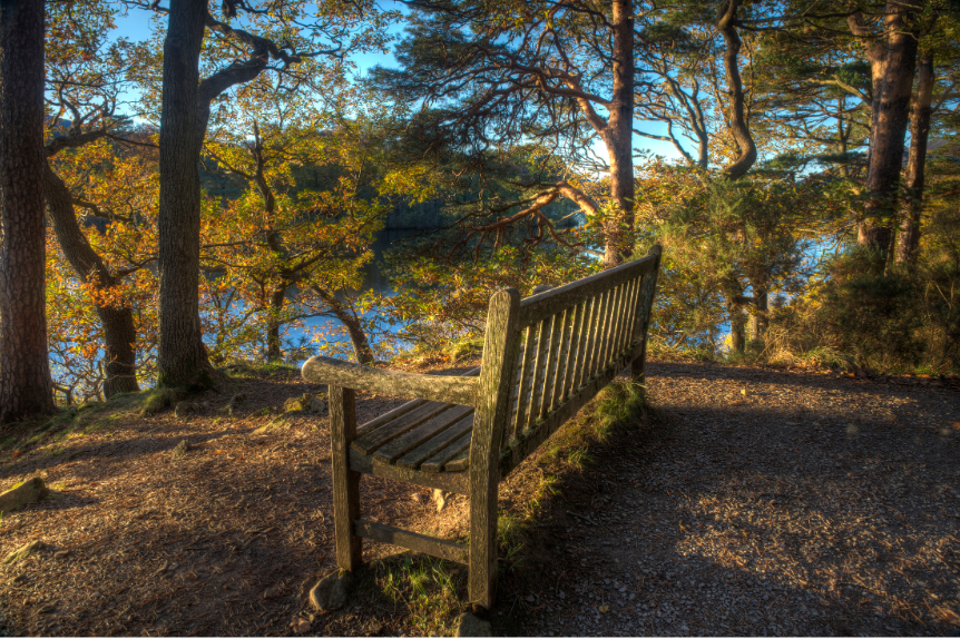 Wooden bench overlooking a sunlit forest and lake in autumn