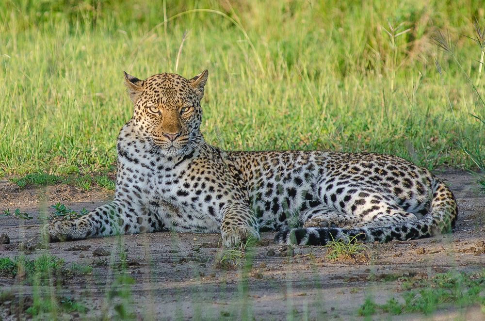 Serengeti National Park