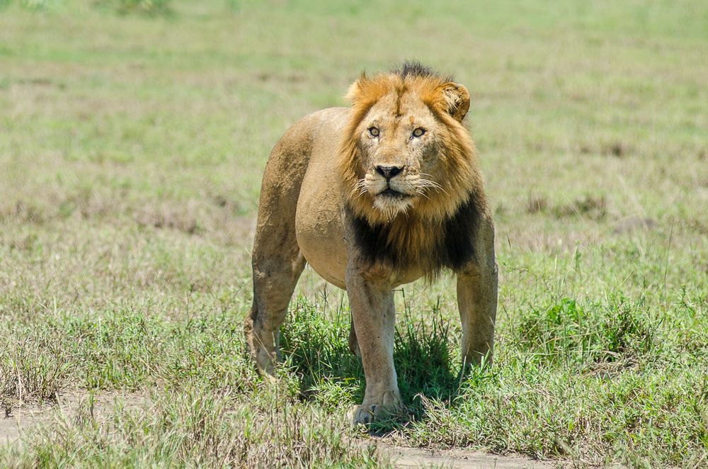 Kruger National Park