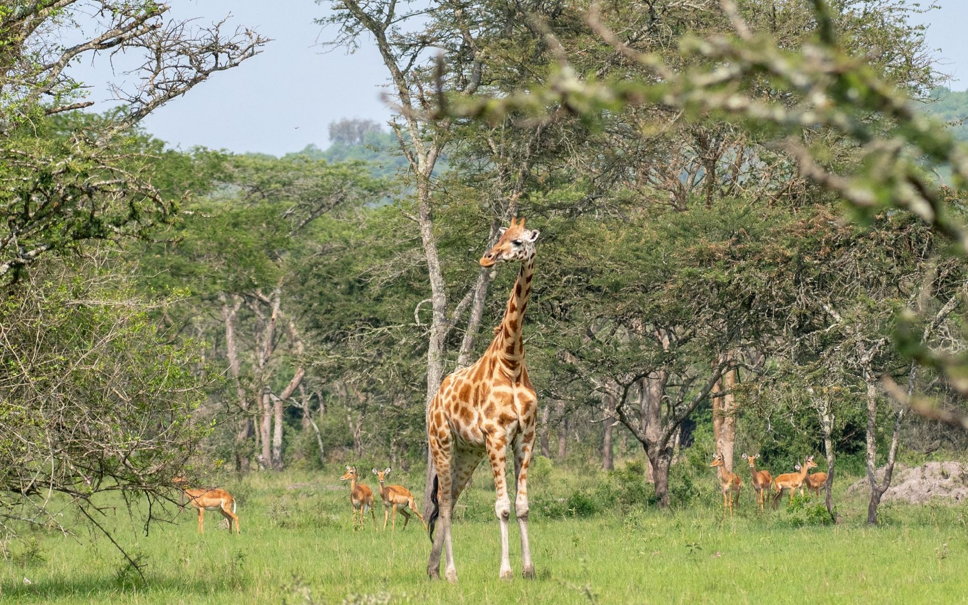 Arusha National Park