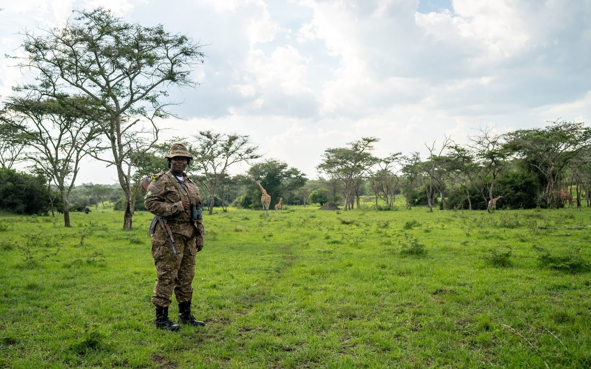 Person in camouflage uniform stands in grassy field, trees in background, giraffes visible.