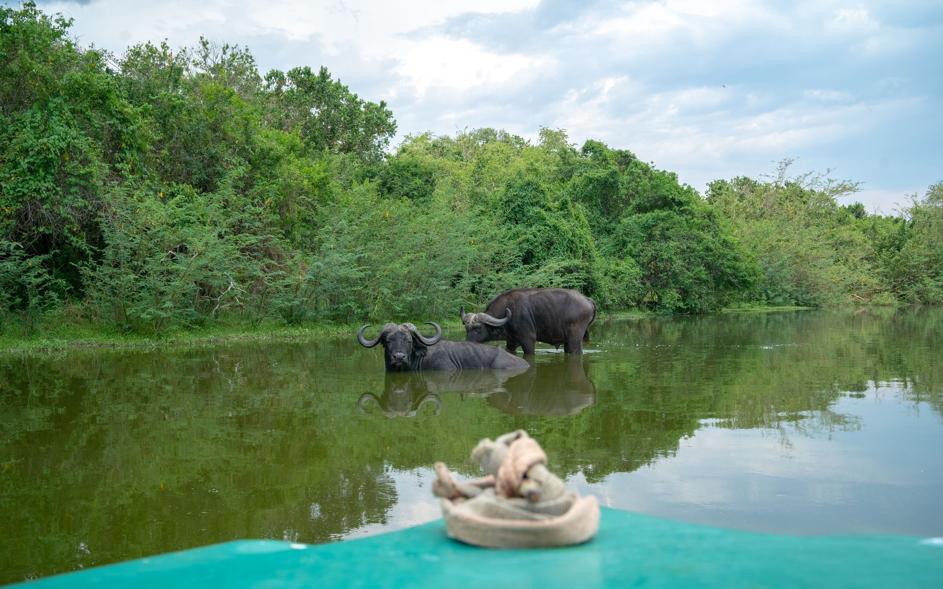 Lake Manyara National Park