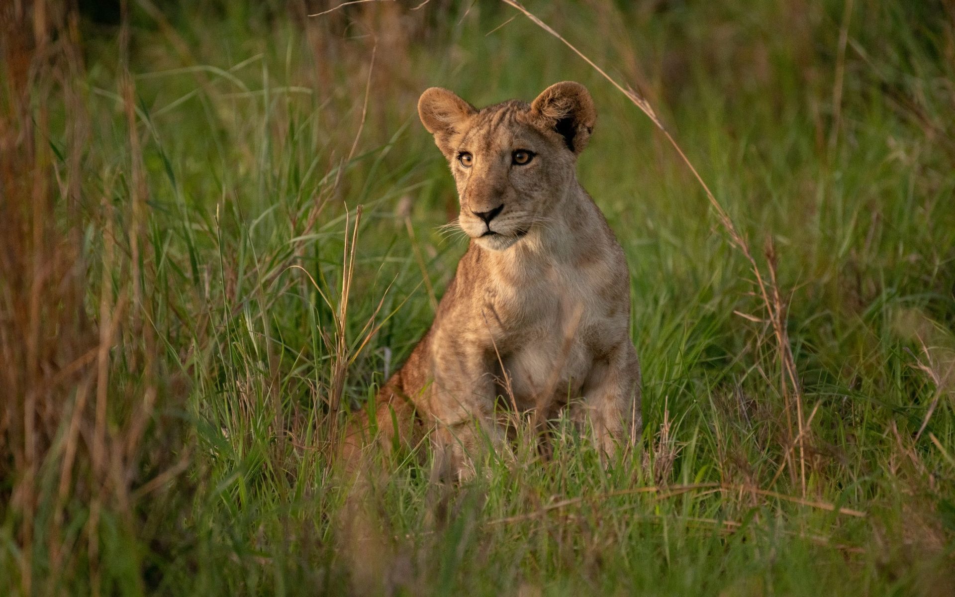 Hwange National Park