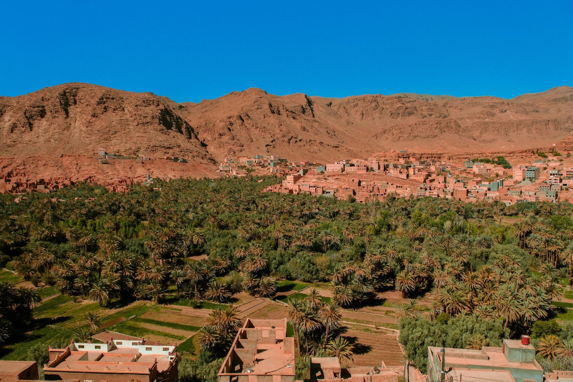 Souss-Massa National Park