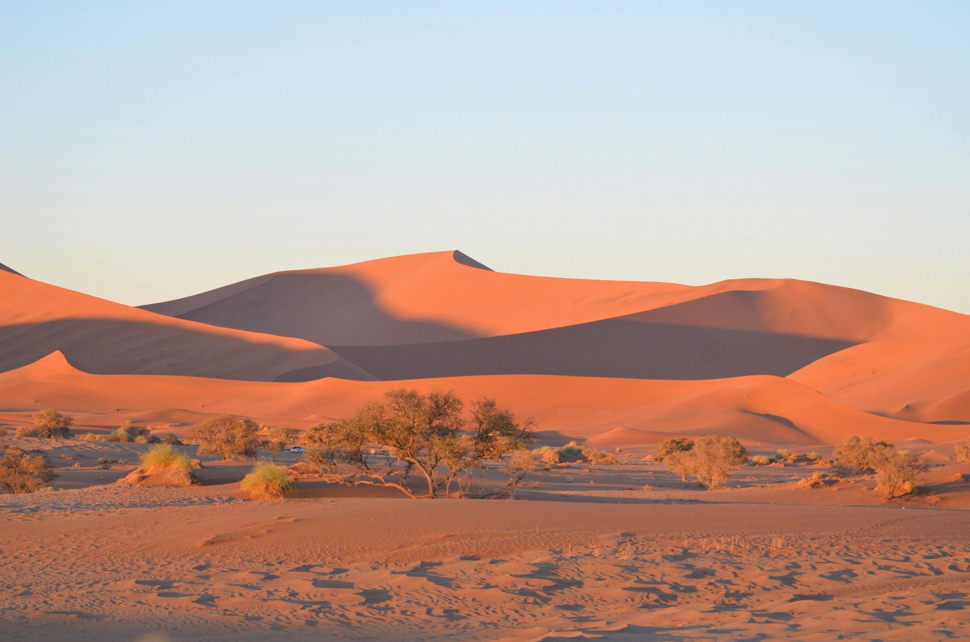 Makgadikgadi Pans National Park