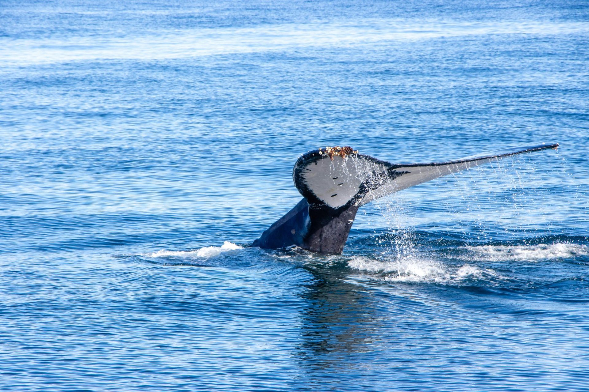 Watamu Marine National Park