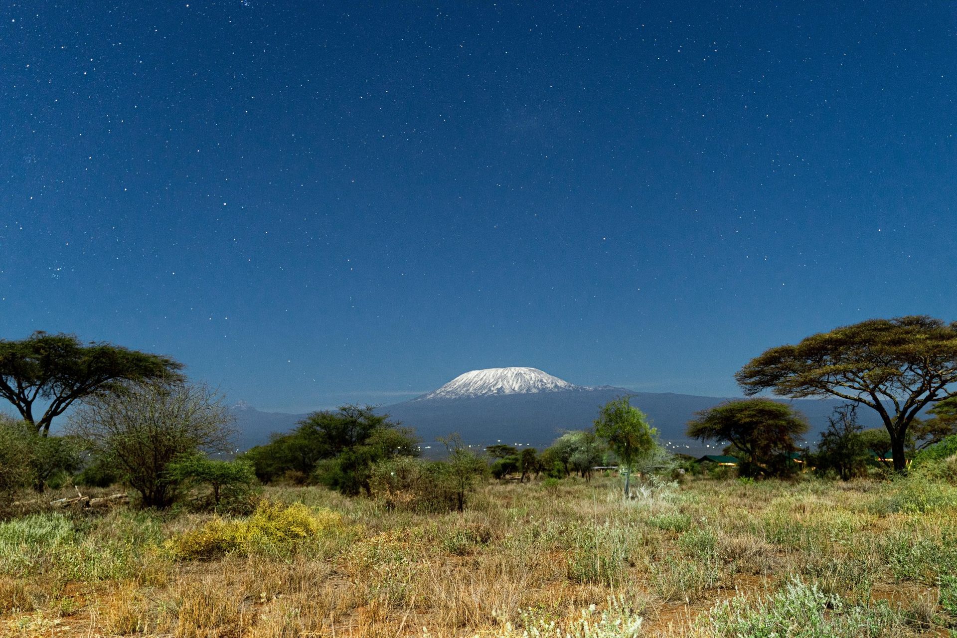 Mount Kenya National Park