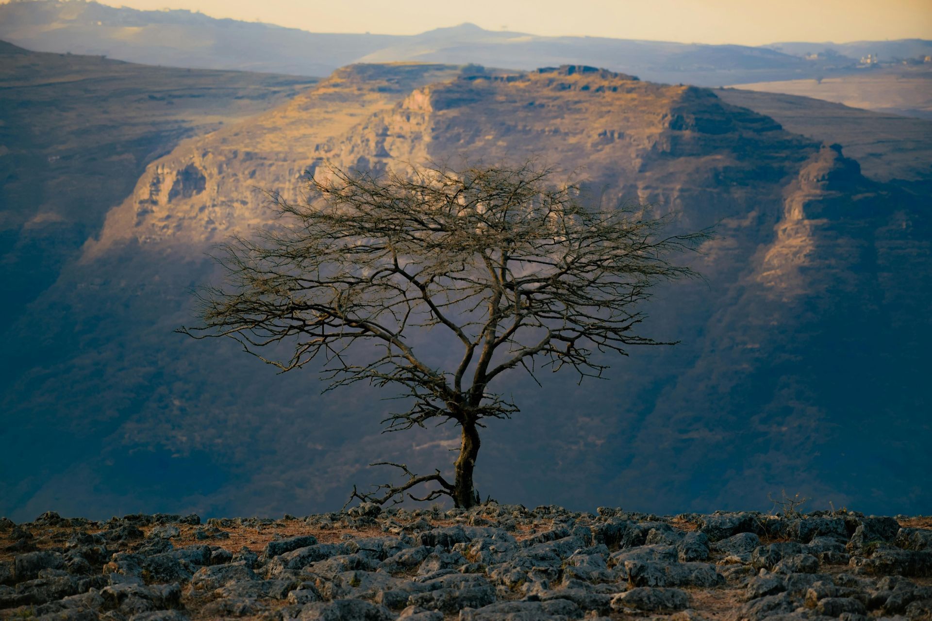 Bale Mountains National Park