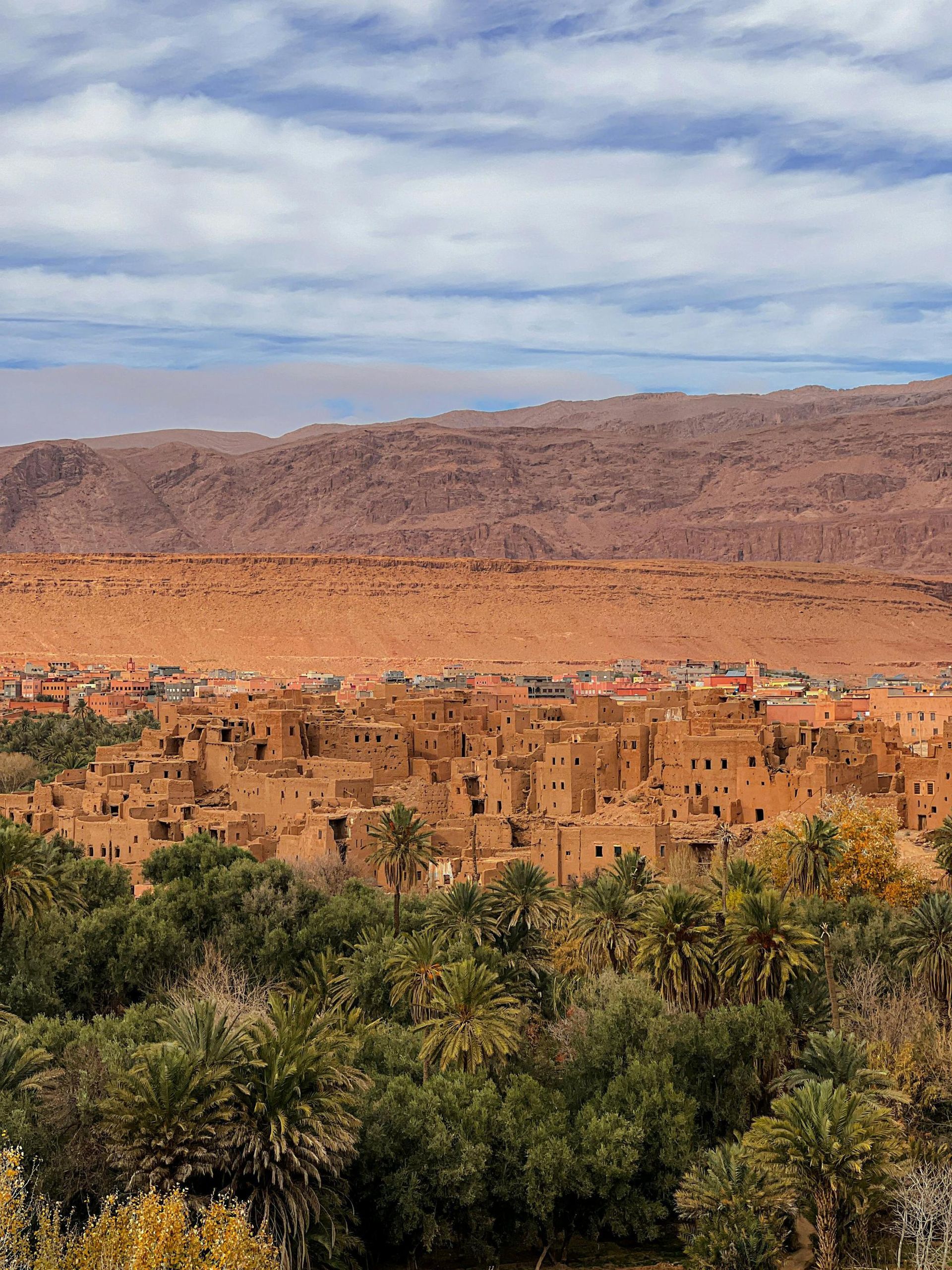 Clay-colored village nestled among palm trees, against a backdrop of ochre mountains and cloudy sky.