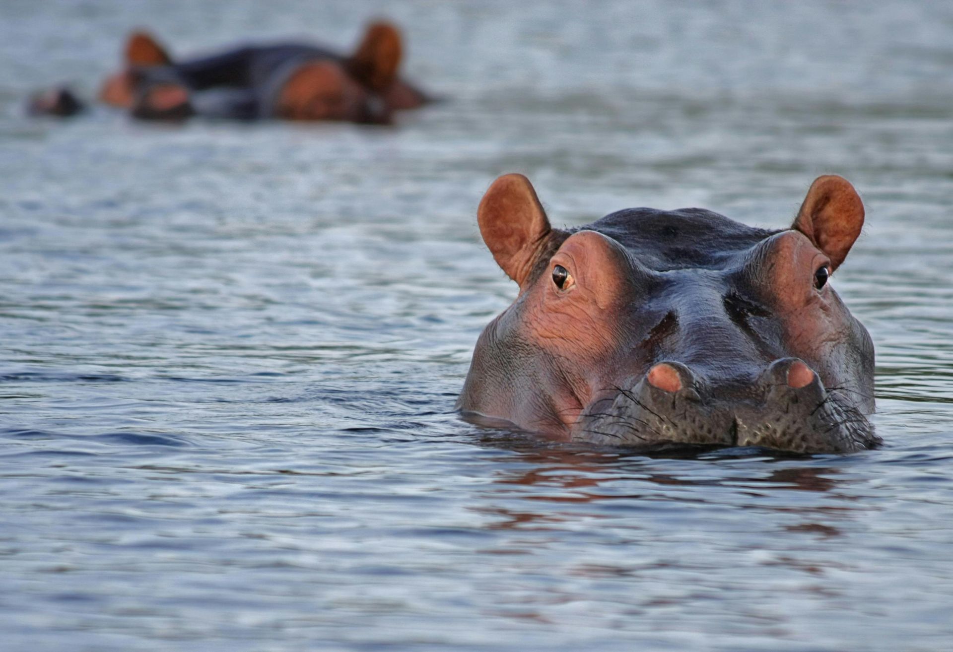 Pilanesberg National Park