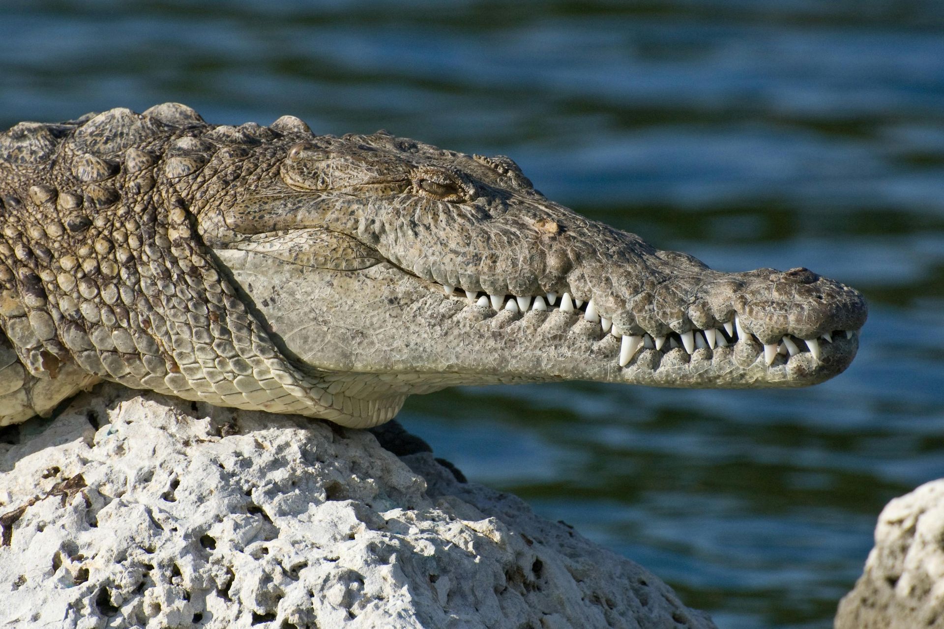 Ras Muhammad National Park