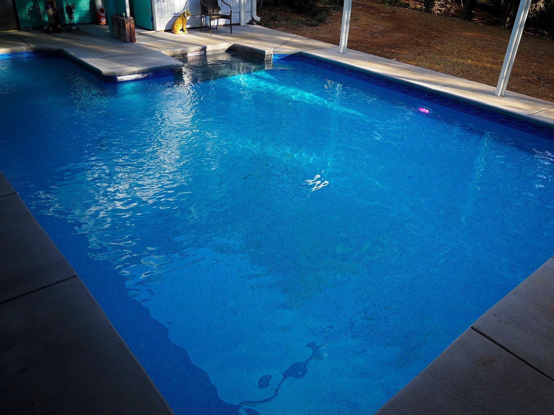 Blue swimming pool with a waterfall feature and a small floating object near the center