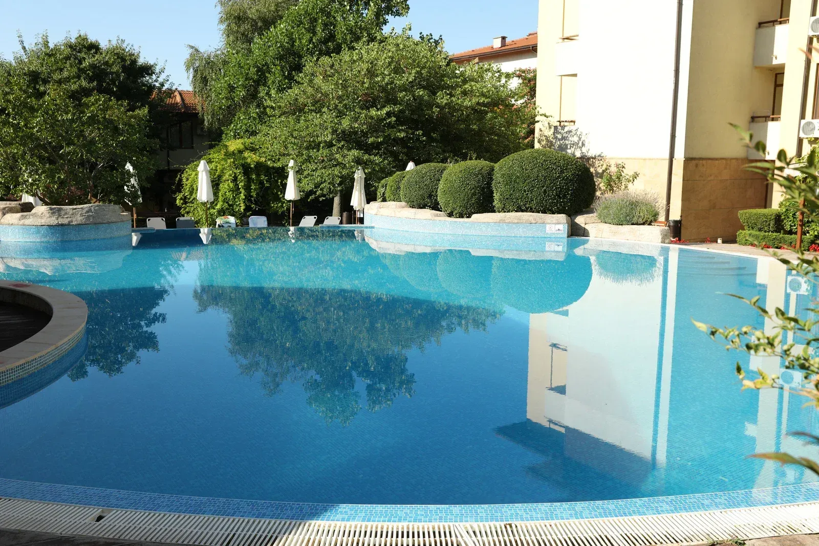 Backyard swimming pool with blue water, lounge chairs, and tall pine trees under a clear sky