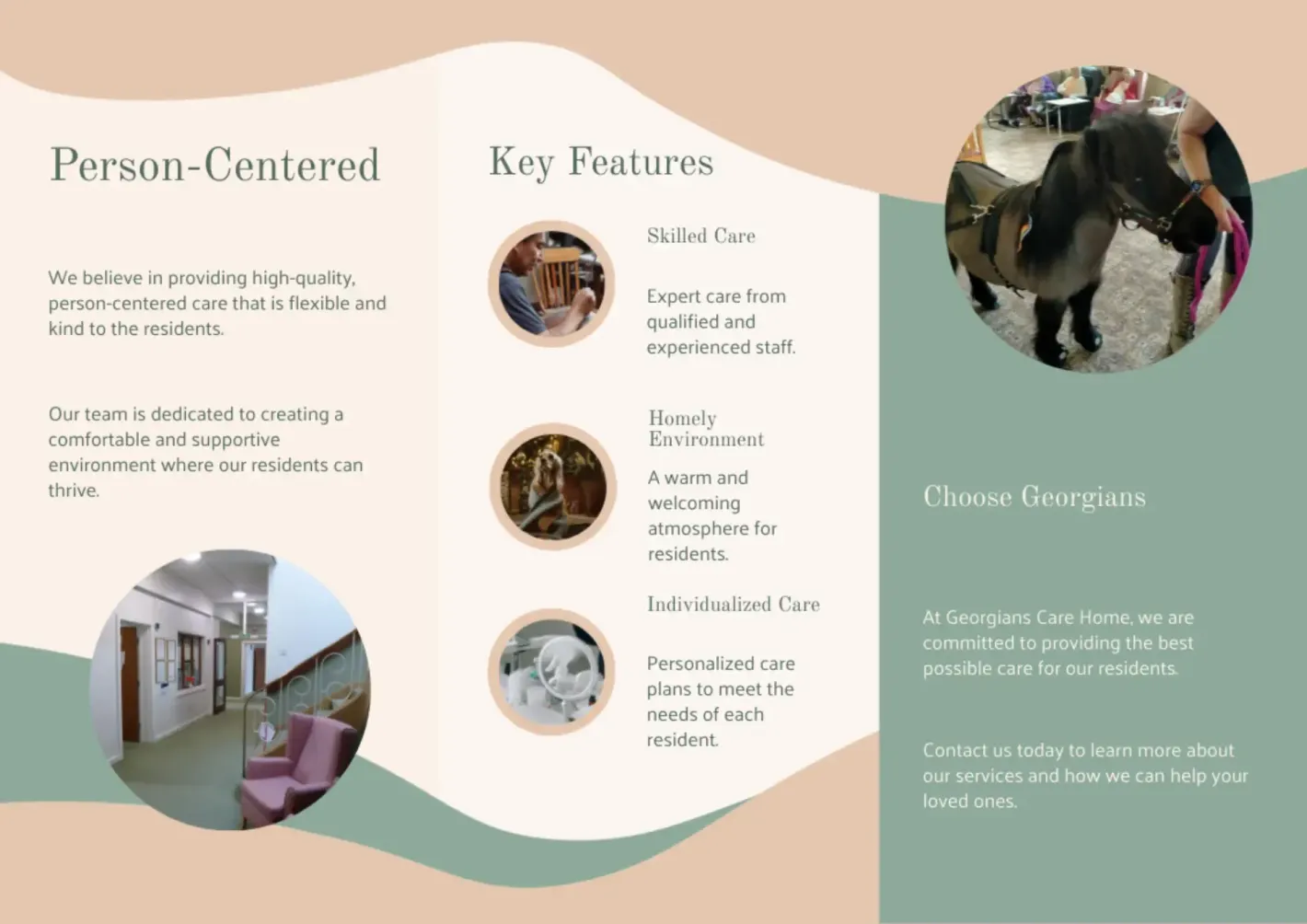 A brochure with a picture of a donkey on it.