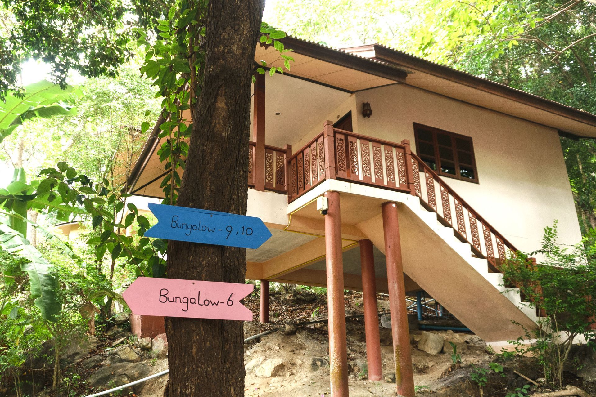 Wooden cabin in lush forest, with colorful arrow signs on a tree pointing to the stairs.