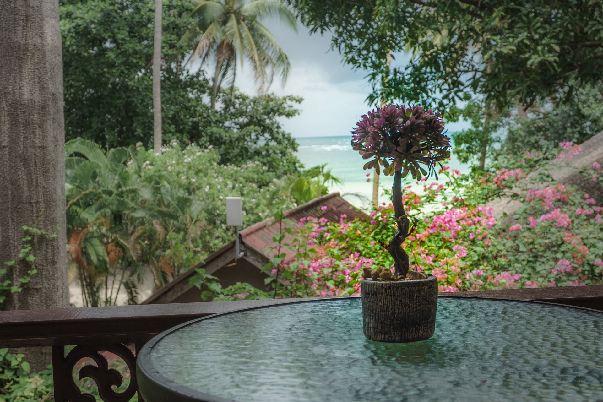 Tropical patio with glass table, potted flowering plant, and ocean view beyond lush greenery