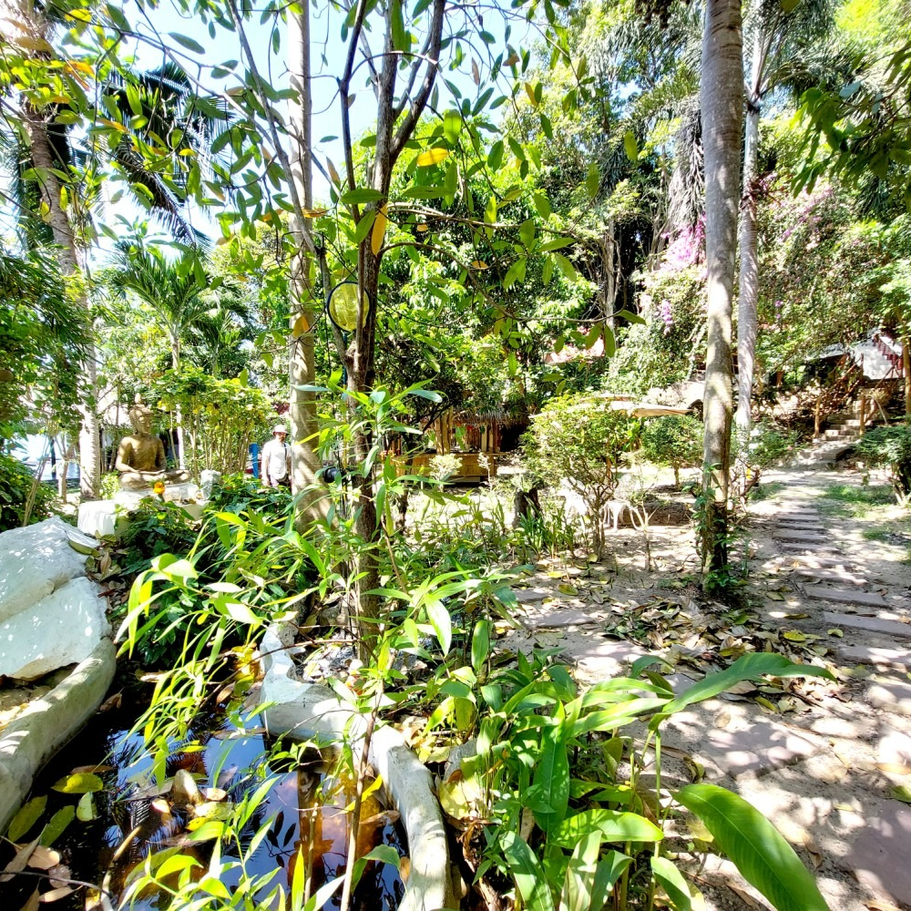 Lush garden path with trees, tropical plants, and dappled sunlight beside a stone walkway